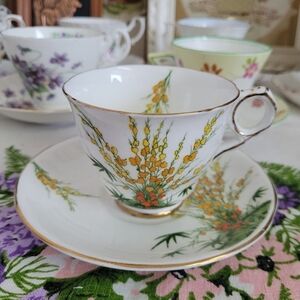 Royal Stafford 'Broom' fine English bone china Teacup & Saucer Set